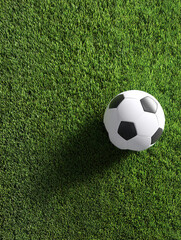 A close-up shot of a soccer ball on a 3D rendered lawn