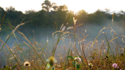 Colorful Backdrop display with twinkling nightlife shape blinking light. Bokeh abstract blurred background music festival stage show performance party. Vibrant bokeh background sparks animate motion