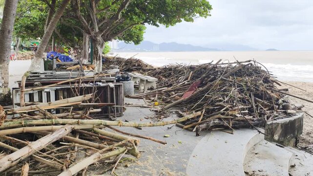 Coastal area suffers post storm damage. Accumulated logs, branches, debris litter clean beach. Dirty brown sea shows effect intense rain, runoff. Cleanup effort essential mitigating damage impact.
