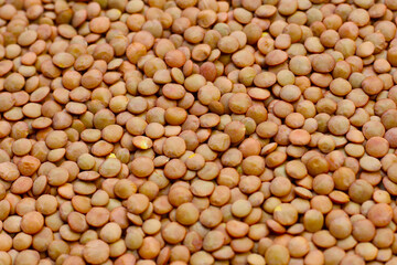 Lentils are small brown legumes rich in protein and fiber