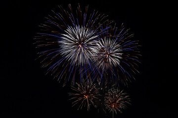 長野えびす講花火大会の美しく放物線を描く花火