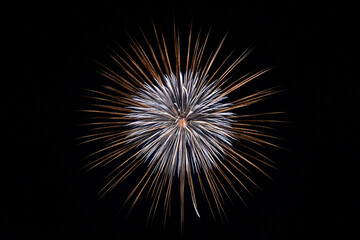 長野えびす講花火大会の美しく放物線を描く花火