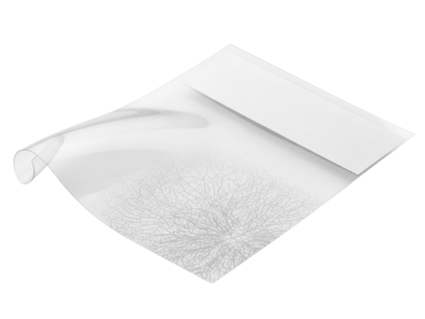 Clear plastic document folder sleeve on a transparent background