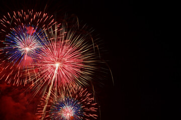 長野えびす講花火大会の美しく放物線を描く花火