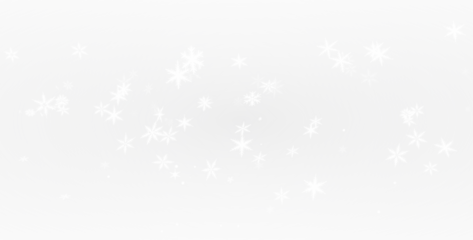 Snowflake Overlay PNG with Transparent Background