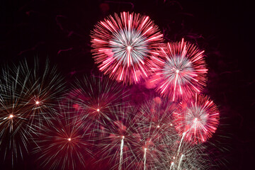 長野えびす講花火大会の美しく放物線を描く花火
