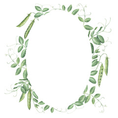 Oval frame with sprigs, leaves and pods of garden peas. Watercolor illustration hand drawn and isolated on a white background. Ideal for decorating postcards, invitations, posters, tableware, textile