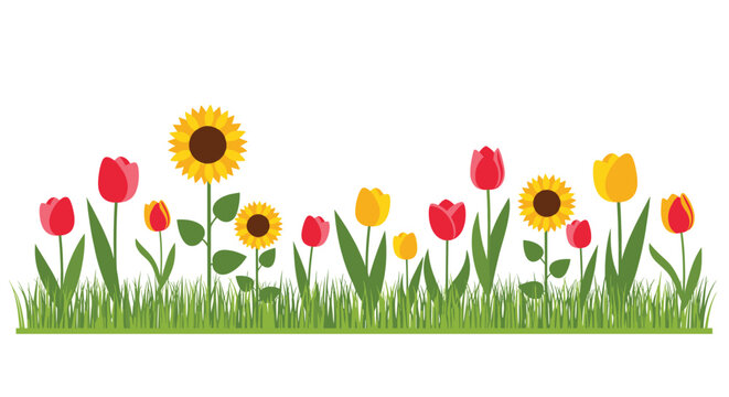 A cheerful illustration of a vibrant spring flower bed with red and yellow tulips, sunflowers, and green grass.