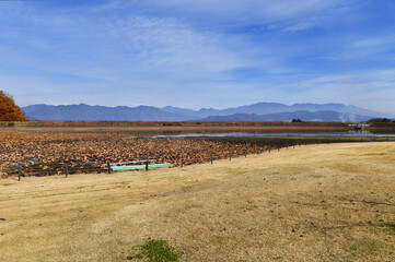 秋の空と紅葉した木々と山並み