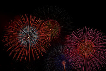 長野えびす講花火大会の美しく放物線を描く花火