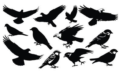 Obraz premium set of silhouettes of birds