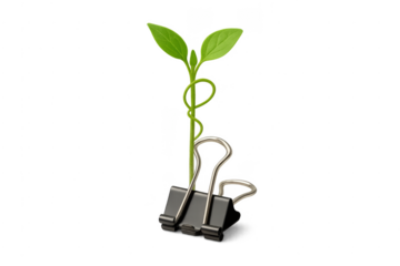 Plant sprout growing from binder clip showing business growth concept