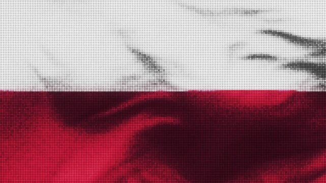 Poland flag with LED screen display. These videos are retro-style, realistic and 4K, and are perfect for creative projects.