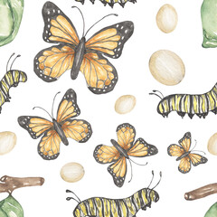 Watercolor Monarch butterfly  life cycle seamless pattern, insect life stages repeat paper, wild life print