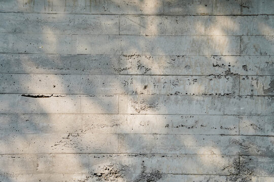 Abstract silhouette moving glare shadows of tree leaves reflection of sunlight on white wall. Transparent blurred bokeh of nature background round plants leaf.