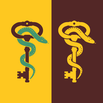 Serpent Wrapped Key Logo with Minimal Snake Form perfect for branding, product packaging, apparel graphics, label creation, marketing materials, etc