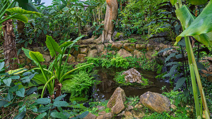 Little pond with all kinds of ferns in greenhouse of The Kyoto Botoanial garden in Kyoto, Japan