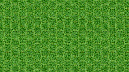 Close up texture of vibrant green grass field in bright sunlight