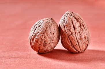 Two  walnuts studio shot