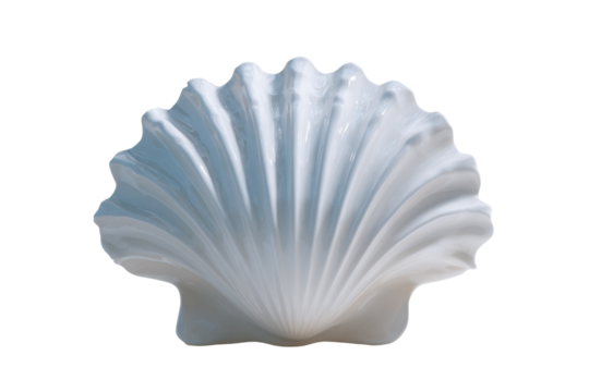 White Scallop Shell Isolated on Black Background image, Isolated On Transparent Background, Png Cut Out