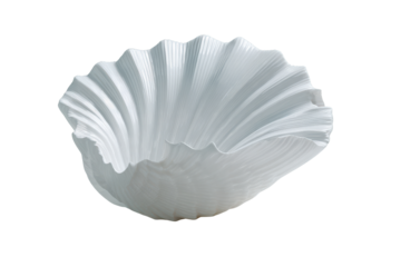 White fluted shell shaped decorative bowl on black background object, Isolated On Transparent Background, Png Cut Out
