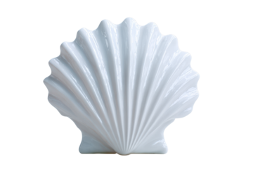 White ceramic shell sculpture with ribbed texture on black background object, Isolated On Transparent Background, Png Cut Out