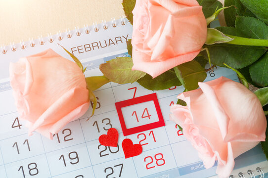 St Valentines day background - roses of light peach color and two red hearts on the calendar with framed St Valentines day date February 14