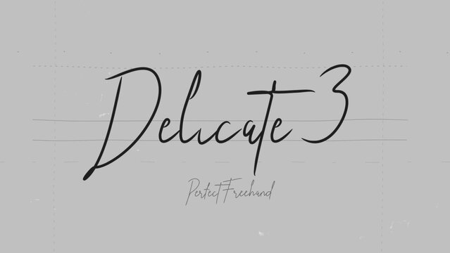 Delicate Write On Text Effect 3 - Scribble Doodle Title Animation Tool | Perfect Freehand Vector Calligraphy