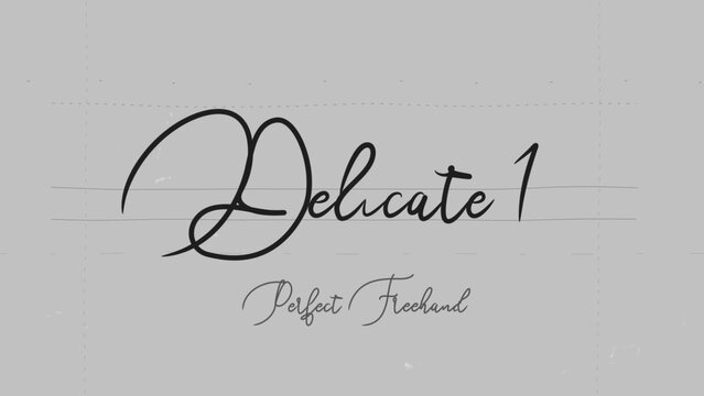 Delicate Write On Text Effect 1 - Scribble Doodle Title Animation Tool | Perfect Freehand Vector Calligraphy