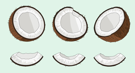 Fresh brown coconuts cut into halves and smaller pieces, revealing white flesh, arranged on a light green background, perfect for tropical themes.
