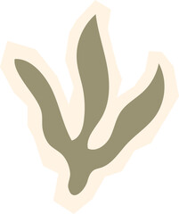 Sage green seaweed or coral plant shape abstract boho botanical element for underwater theme