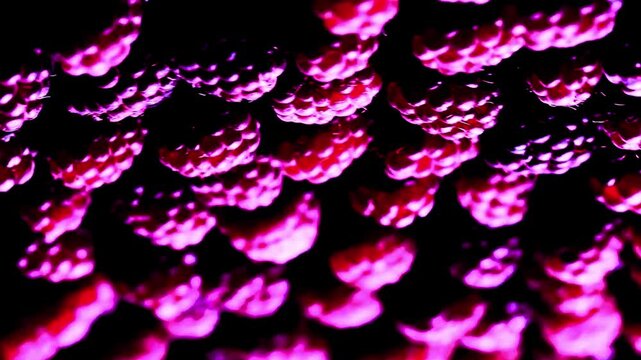 Vibrant raspberry clusters creating a stunning abstract pattern with deep pink hues and dramatic shadows for creative projects
