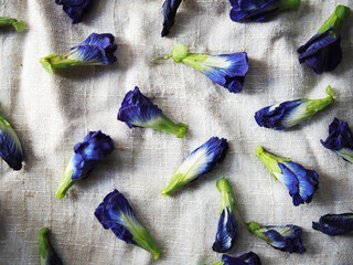 blue butterfly pea flower and kaffir lime fruit on fabric background aroma oil and shampoo home made
