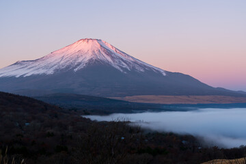Fototapeta premium 冬の山中湖村パノラマ台から夜明けの雲海と紅富士