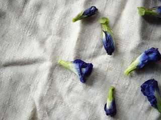 blue butterfly pea flower and kaffir lime fruit on fabric background aroma oil and shampoo home made