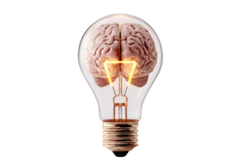 Human brain inside clear glass light bulb with glowing filament on black lightbulb idea, Isolated On Transparent Background, Png Cut Out