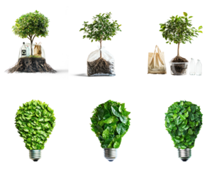 Collection of small tree with its roots showing in a transparent pot, surrounded by sustainable items like eco-friendly bags or bottles. full length isolate on transparent background