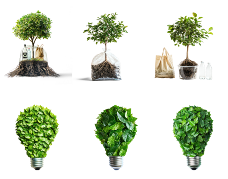 Collection of small tree with its roots showing in a transparent pot, surrounded by sustainable items like eco-friendly bags or bottles. full length isolate on transparent background - Powered by Adobe