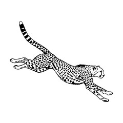 Black and white illustration of a cheetah leaping across a white background © Alo