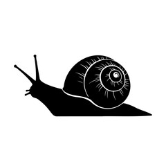 Black silhouette illustration of a snail with a spiral shell on white © Alo