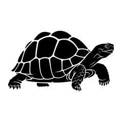 A black silhouette of a turtle with a patterned shell on a white background