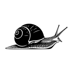 A monochrome illustration of a snail with a spiral shell and antennae © Alo