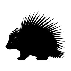 Black silhouette of a porcupine with quills on a white background view