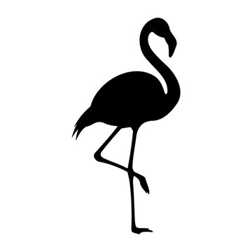 Silhouette of a flamingo standing on one leg against a white background