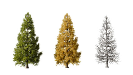 Three trees illustrate seasonal transformation from healthy green foliage to yellow autumn leaves and finally to bare branches, symbolizing nature's cycle.