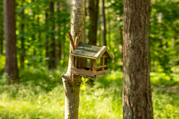 A beautiful bird feeder house in the forest. Seasonal woodlands scenery in Latvia, Europe.