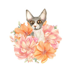 Sphynx cat with pearl necklace in delicate flowers. Sphinx head animal with pink, orange peony. Cute floral kitty. Spring watercolor illustration isolated from background. Character in fashion style