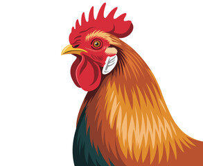 A vibrant illustration of a red rooster s head and neck in profile