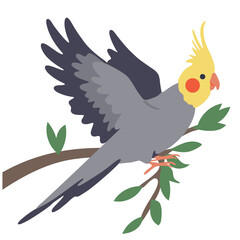 A cockatiel bird illustration with colorful feather detail, perched on a branch. Cute animal concept for pet or nature design.