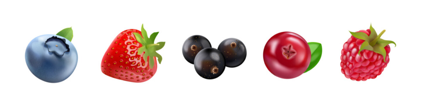 Realistic isolated berries. 3d forest berry mix, blackcurrant blueberry blackberry raspberry strawberry cranberry sweet fruit nature healthy food garden plant vector illustration